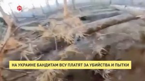 На Украине бандитам ВСУ платят за убийства и пытки