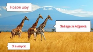Новое шоу🐍.Звёзды в Африке 3 выпуск🐘🌍