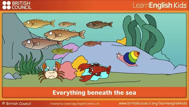 Everything beneath the sea _ Всё, что под водой