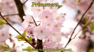 Primavera... 2(Music from Sergey Kolosov)