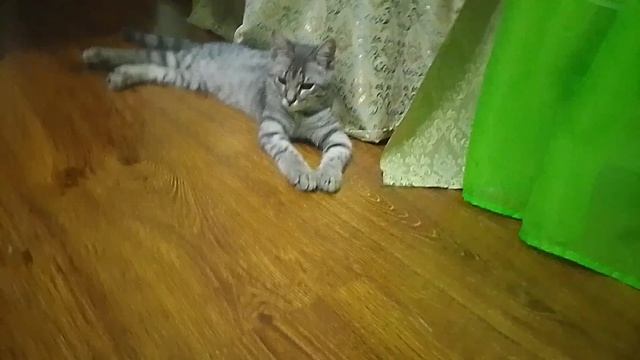 о ну да смотреть онлайн