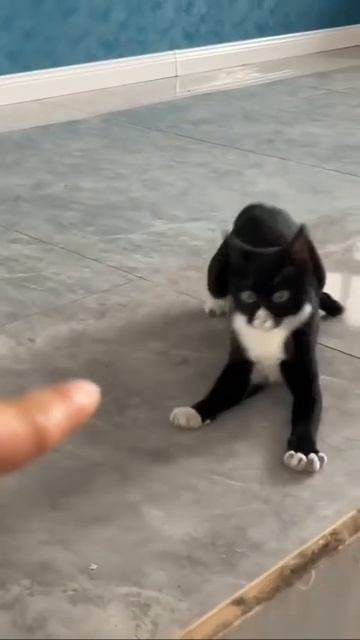 1000014369.mp4