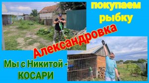 Мы с Никитой косари. Работаем на участке Тани. Ремонт. Море. Покупаем рыбку. Ейск♥️