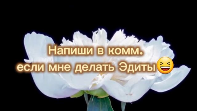делать мне Эдиты?🎧 смотреть онлайн