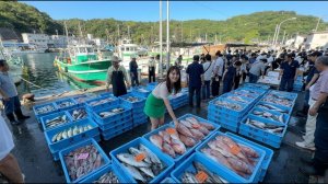 Приобретайте морепродукты и наслаждайтесь местной кухней в рыболовецком порту Тадзири в Осаке,Япония