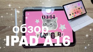обзор на Ipad A16 / айпад для учебы и просто так ~~~