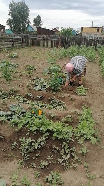 Деревня смотреть онлайн