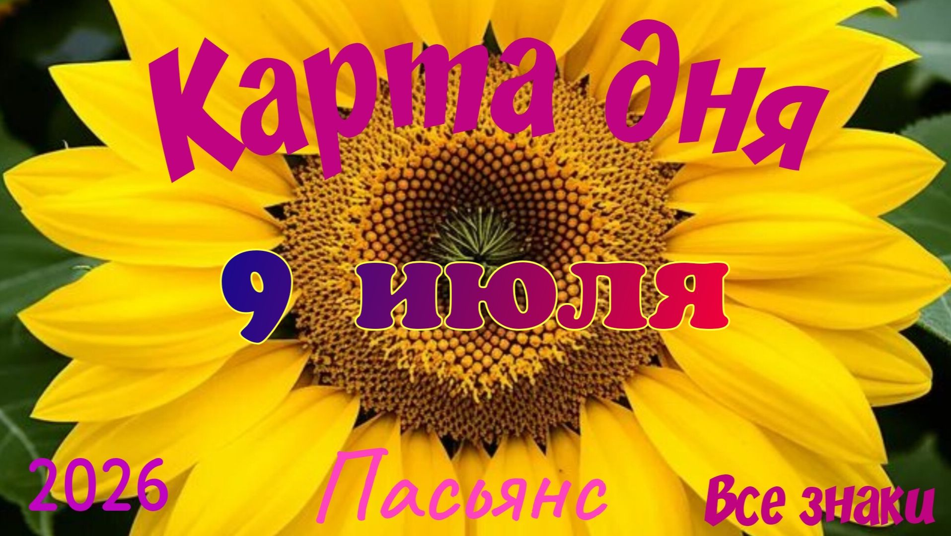 Карта дня🍒9 июля🍀💫Пасьянс. Тайм-код в описании 🦢 смотреть онлайн