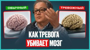 Вот что тревога делает с мозгом! Как победить ТРЕВОГУ НАВСЕГДА и начать жить? | Яков Маршак