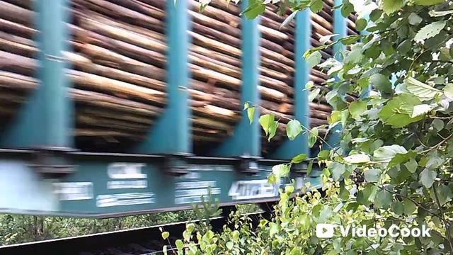 Электровоз 3ЭС5К 888 с грузовым поездом смотреть онлайн