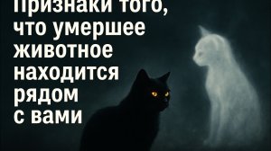 Они нас не покидают навсегда #как пережить смерть питомца #возвращение к хозяину
