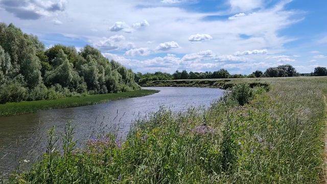 Луг в долине реки Нерль смотреть онлайн