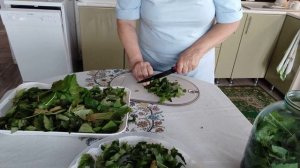 Был ураган, беда обошла стороной. Чай в домашних условиях подробно.