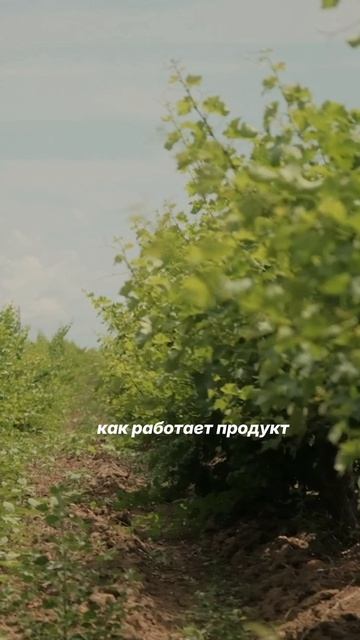 Роль агросопровождения в современном земледелии 2026