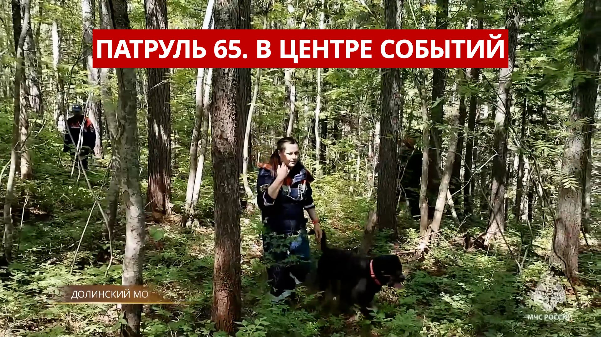 ПАТРУЛЬ 65. Погиб под грузовиком, поиски пропавшего и пожар в магазине. Сахалин 07.07.2026 смотреть онлайн