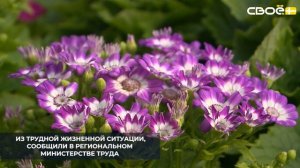 В Ипатовском округе с начала года местные жители заключили 34 социальных контракта