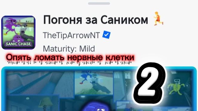 Играю в Sanic chase 2 с Сергеем 23К и Псковским Ёжиком