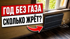 Все топят ГАЗОМ, а мы отапливаем гостевой дом электричеством! Что показал год использования