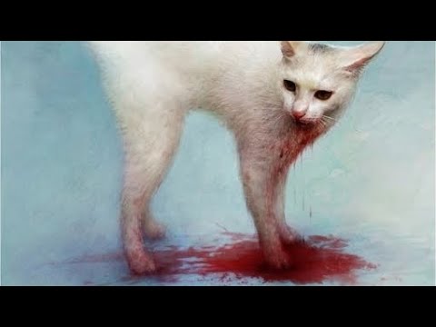 Los tres - Claus + Любовь (Slowed) смотреть онлайн