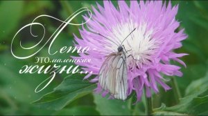 Один день лета 🦋бабочка и велопрогулка 🚴🏿♀️