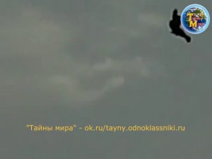 ШОК! Птицы в небе застывшие будто на стоп-кадре!