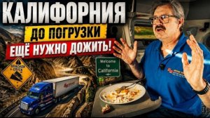 Новое: Калифорния. Получил новое задание, но дорога к погрузке оказалась настоящим испытанием.!!!