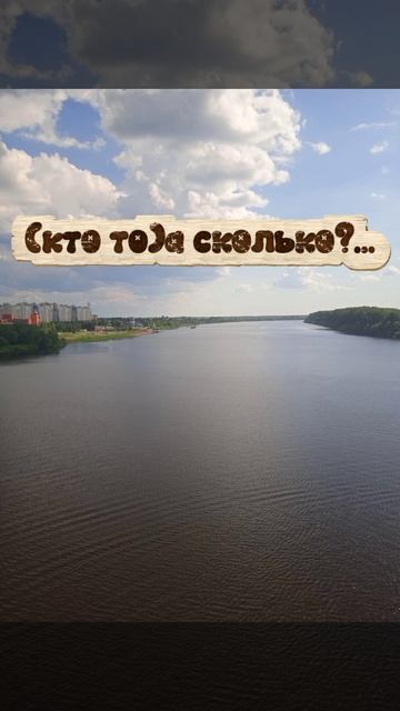 да,я рил самоучка смотреть онлайн