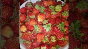 🍓🍓🍓Ах, это лето🍓🍓🍓❤