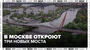 Три новых моста в Мнёвниковской пойме достроят в 2026 году - Москва 24