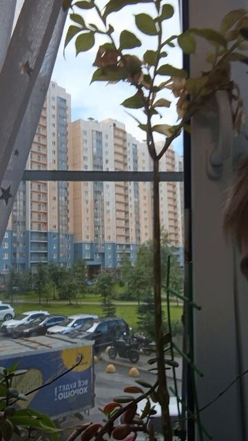 скоро на дачу смотреть онлайн