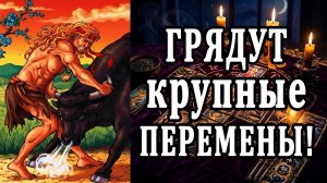 В какой сфере всё ПОМЕНЯЕТСЯ Какие ПЕРЕМЕНЫ ждут 😱 таро расклад ❤️ гадание на судьбу