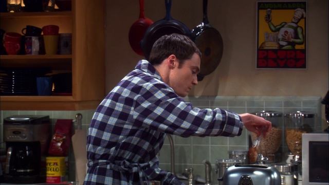 Теория Большого взрыва 3 сезон 23 серия / The Big Bang Theory смотреть онлайн