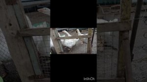 ПРО ЖИЛИ БЫЛИ И ЧУДЕСА ПРИРОДЫ