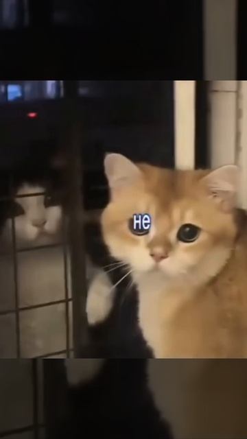 Миленько мне нравится 😊 👅 смотреть онлайн