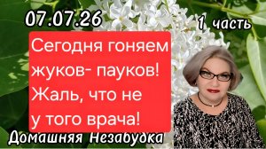 1 часть. Сегодня гоняем жуков - пауков❗️Жаль,что не у того врача☝️❗️