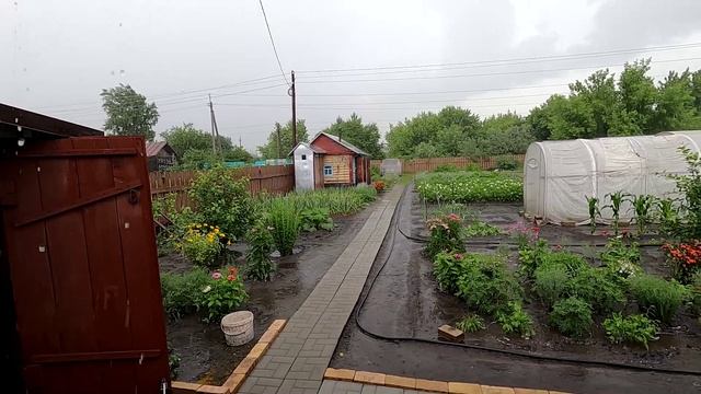 Гроза и ливень на нашем участке 7 июля смотреть онлайн
