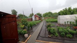 Гроза и ливень на нашем участке 7 июля