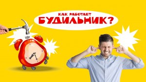 КАК РАБОТАЕТ БУДИЛЬНИК?