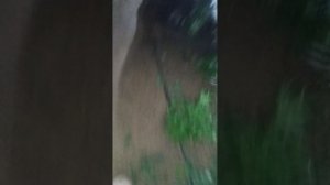 один  день в бане