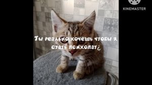 Обращение к Пентаграммочка Тимбочка