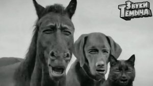 Страшно, очень страшно! Мы не знаем, что это такое. Если бы мы знали, что это такое👀 / Fallout 4