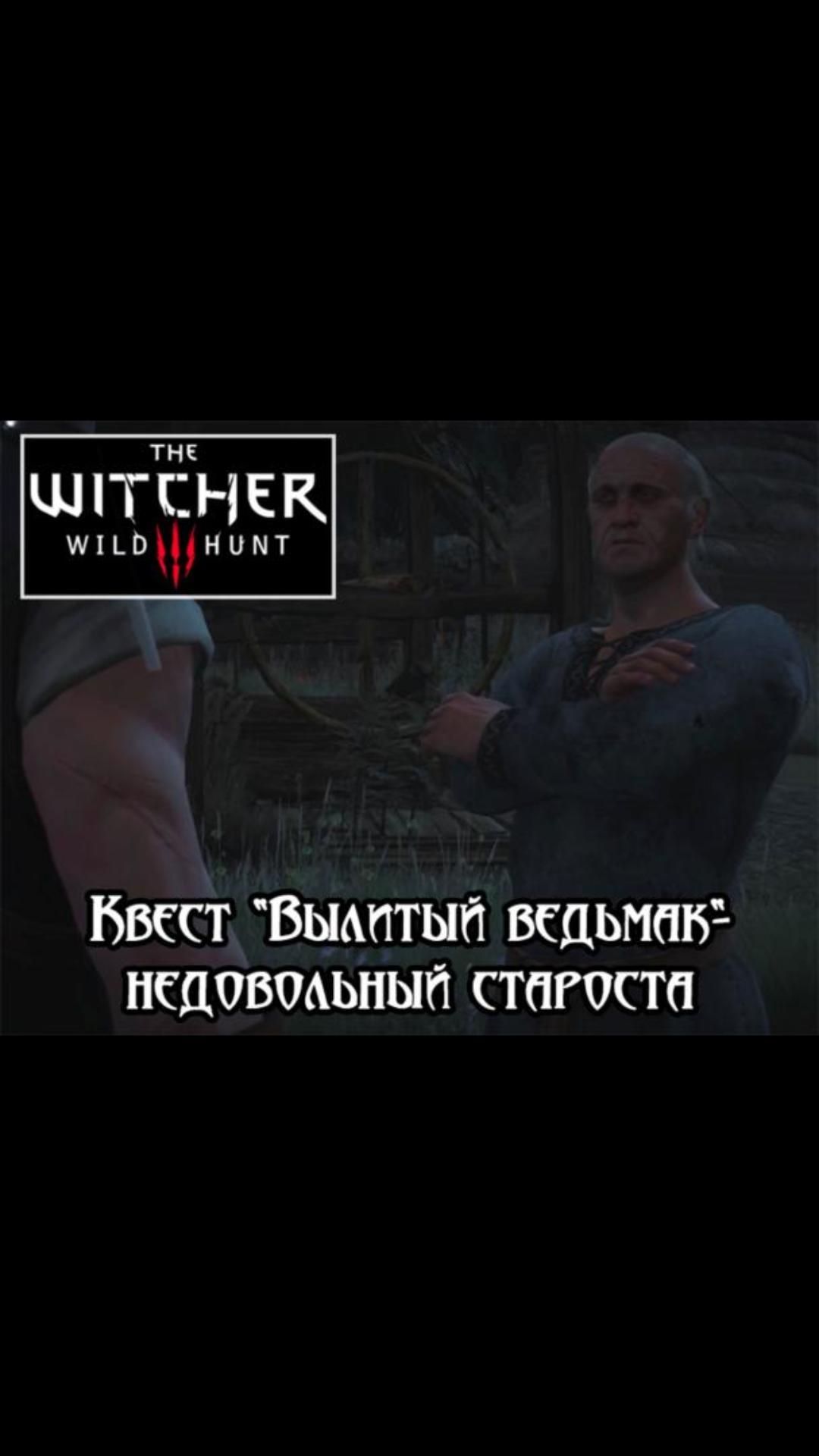 Недовольный староста- квест "Вылитый ведьмак" | #witcher3 #games #rpg