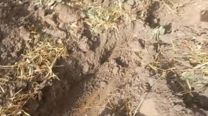 выезд за металаломом в Курскую область