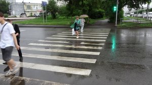 ДЕВУШКА С СОБАКОЙ ПРОВАЛИЛАСЬ В ОТКРЫТЫЙ ЛЮК ВО ВРЕМЯ ЛИВНЯ
