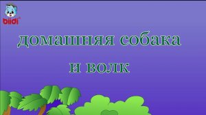 Домашняя собака и волк