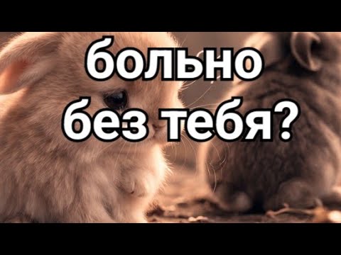 ПОЧЕМУ ЕЙ БОЛЬНО БЕЗ ТЕБЯ?..🥺❤#мужскоетаро #онлайнрасклад #тародлямужчин смотреть онлайн