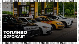 Цены на топливо резко выросли на столичных заправках - Москва 24