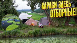 Закинул в окна кувшинок и началось! Рвут лески, утаскивают удочки! Рыбалка с ночёвкой на озере мечты