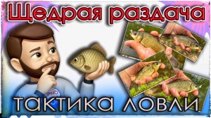 Щедрая раздача Карася. Тактика ловли на спиннинг. Мормышинг.
