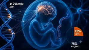 Почему левши так часто правят миром? Секрет ДНК, который веками пытались исправить.